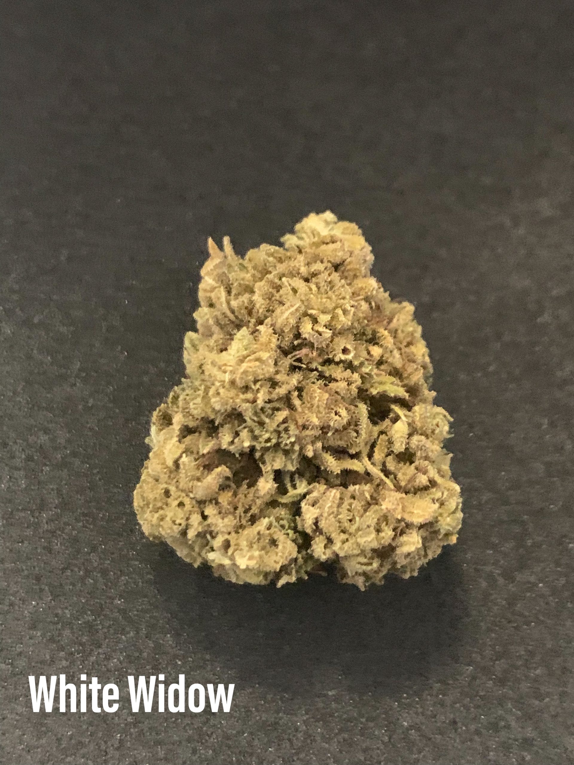 White Widow fleur de CBD
