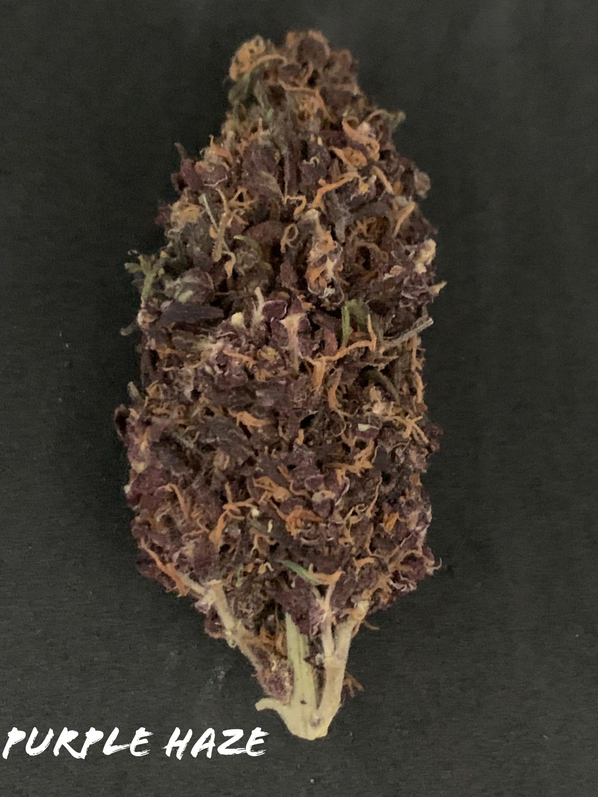 Purple Haze fleur de CBD